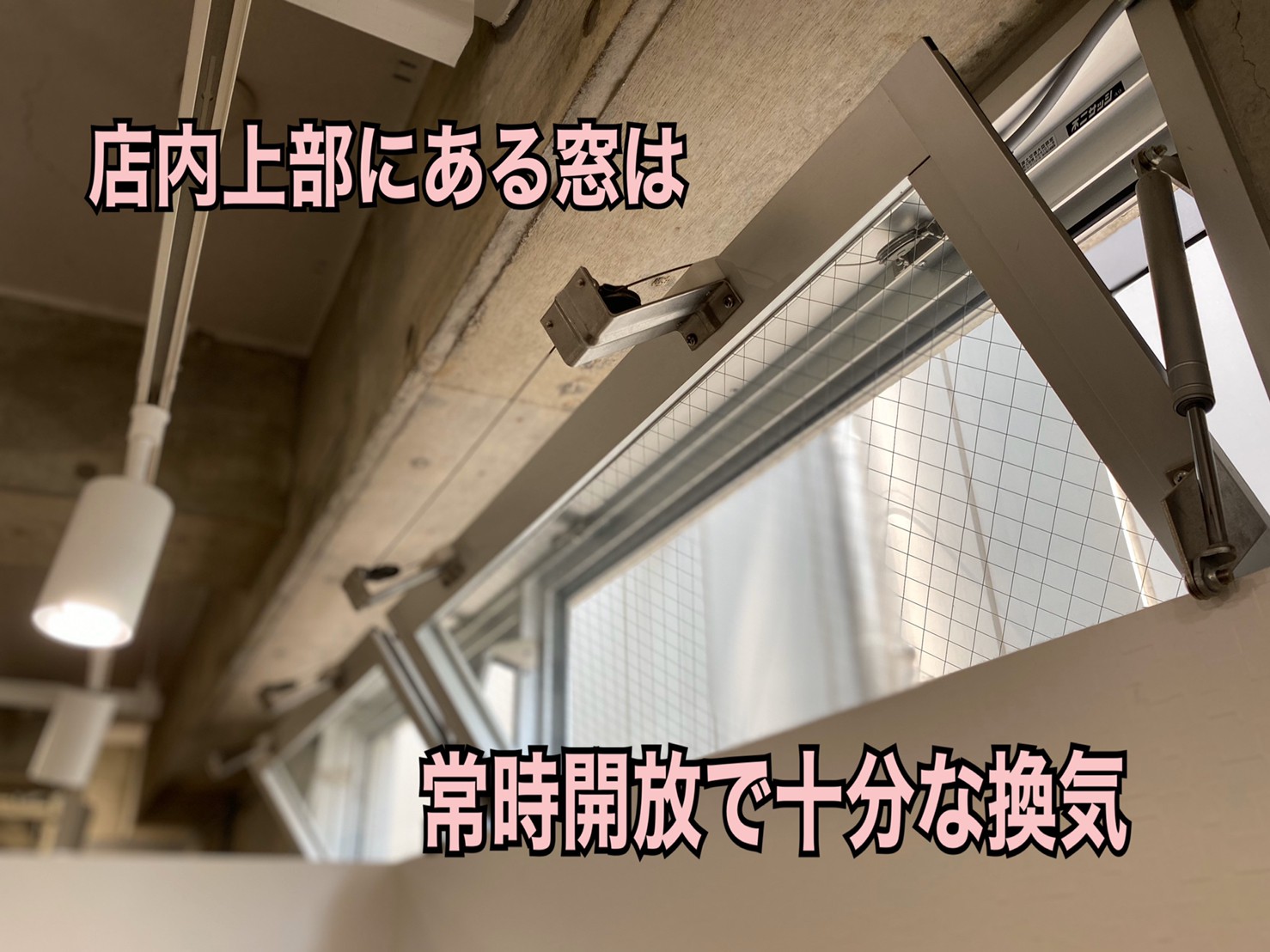 colona05.jpg